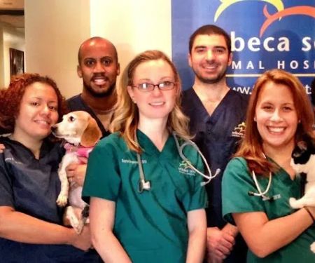 Tribeca Soho Animal Hospital