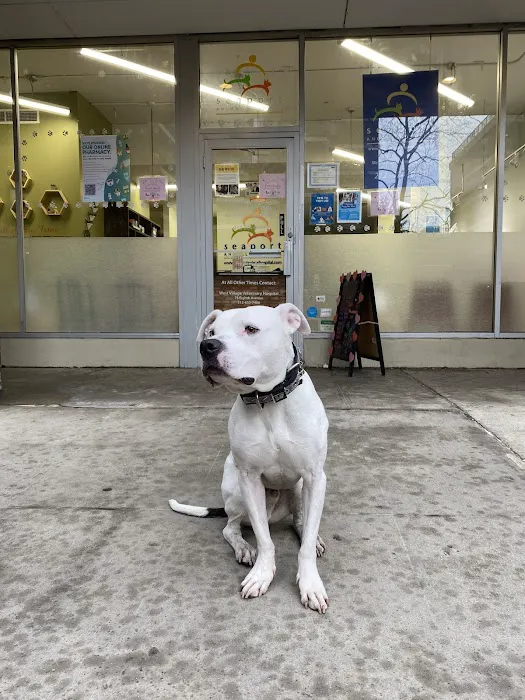 Tribeca Soho Animal Hospital Picture 8
