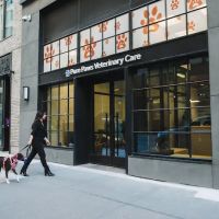 Pure Paws Veterinary Care of Hudson Square ico
