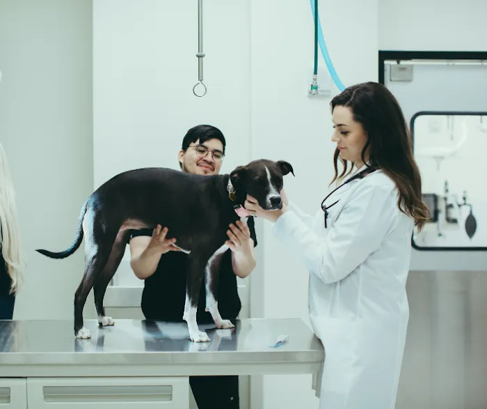 Pure Paws Veterinary Care of Hudson Square Picture 2