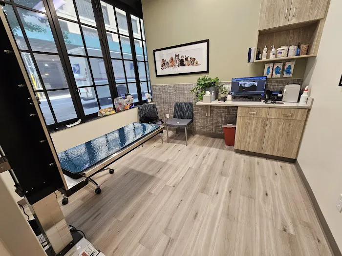 Pure Paws Veterinary Care of Hudson Square Picture 7