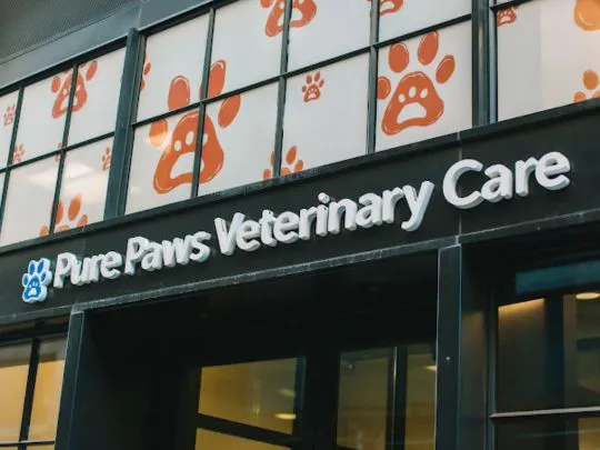 Pure Paws Veterinary Care of Hudson Square Picture 5
