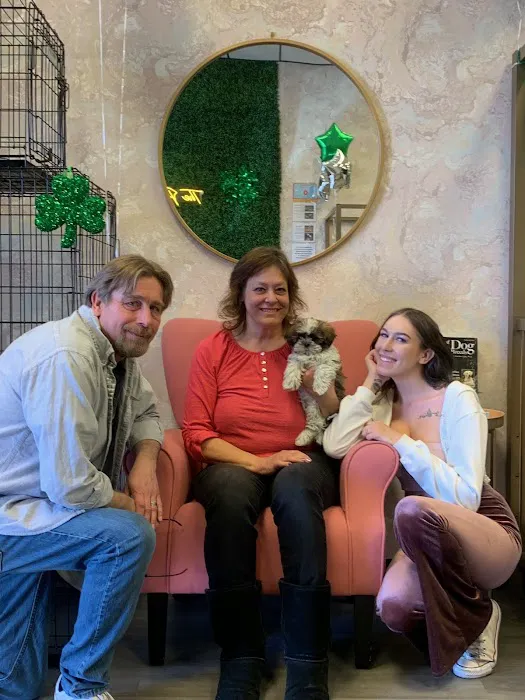 Puppies For Less - Sahara Las Vegas Picture 4