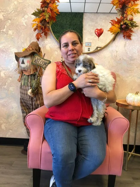 Puppies For Less - Sahara Las Vegas Picture 3