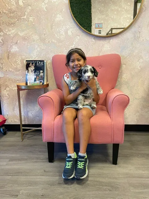 Puppies For Less - Sahara Las Vegas Picture 8