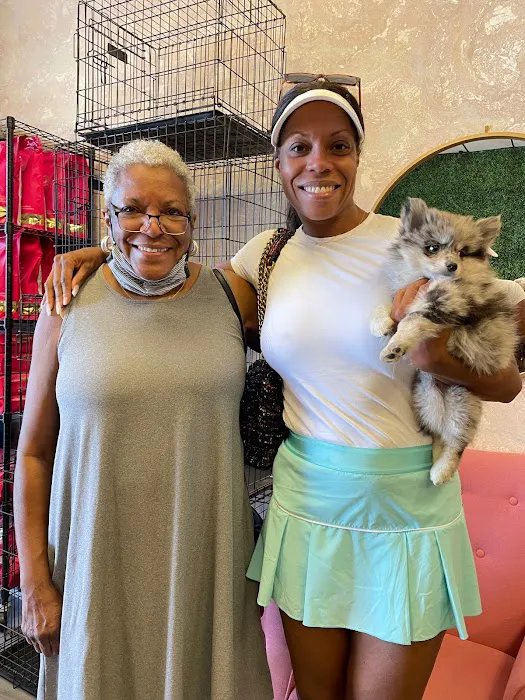 Puppies For Less - Sahara Las Vegas Picture 6