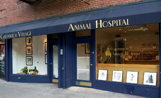 Greenwich Village Animal Hospital Picture 1