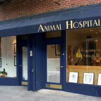 Greenwich Village Animal Hospital ico