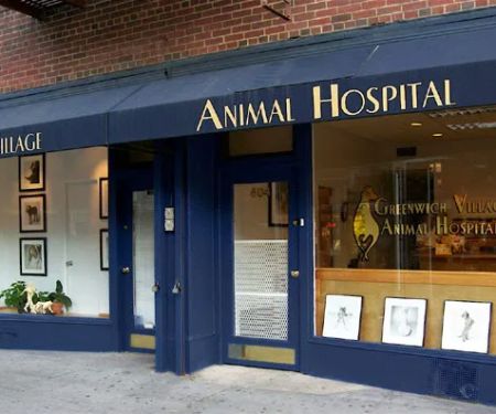 Greenwich Village Animal Hospital