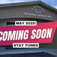 K-9 Kountry A Dog Wellness & Enrichment Center ico