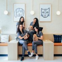 Bond Vet - Lower East Side ico