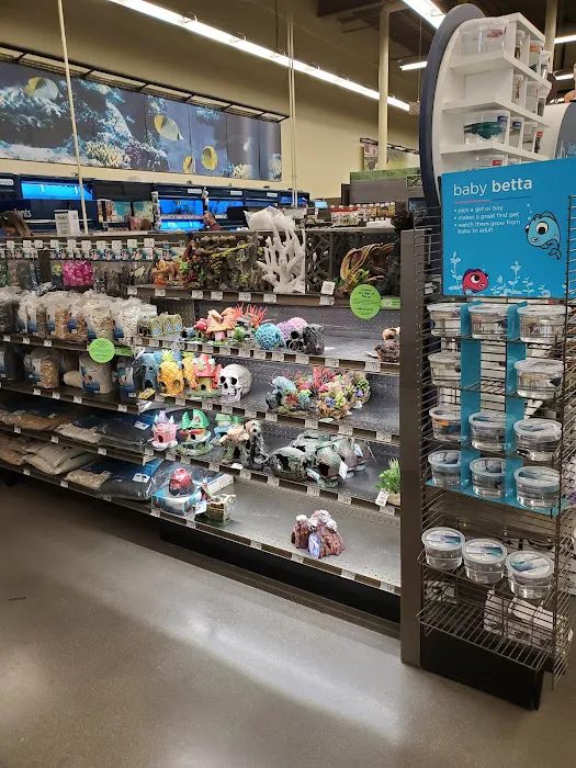 Petco Picture 2
