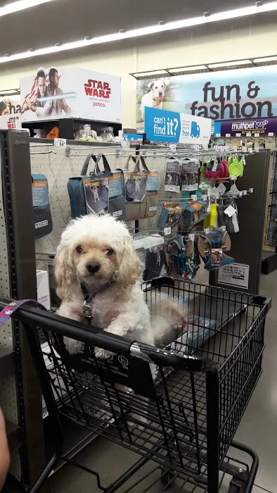 Petco Picture 1