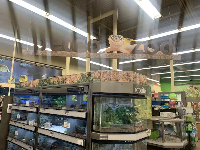 Petco Picture 5