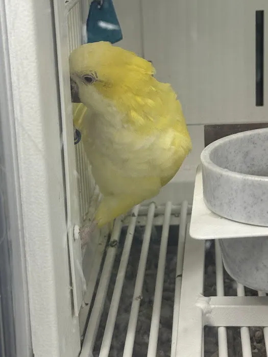 Petco Picture 10