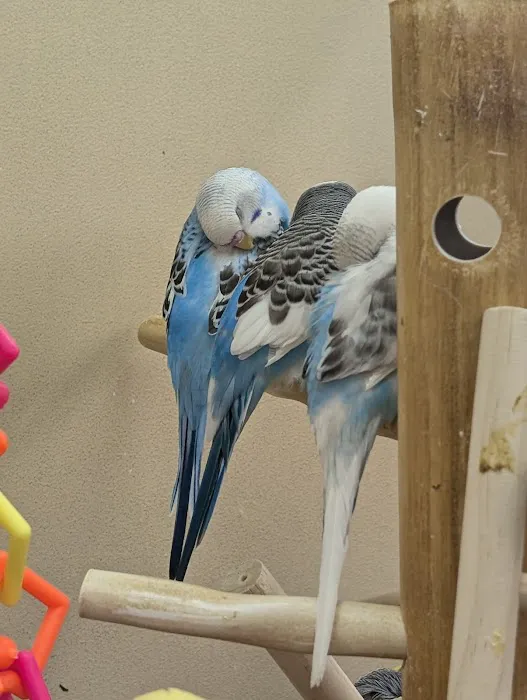 Petco Picture 7
