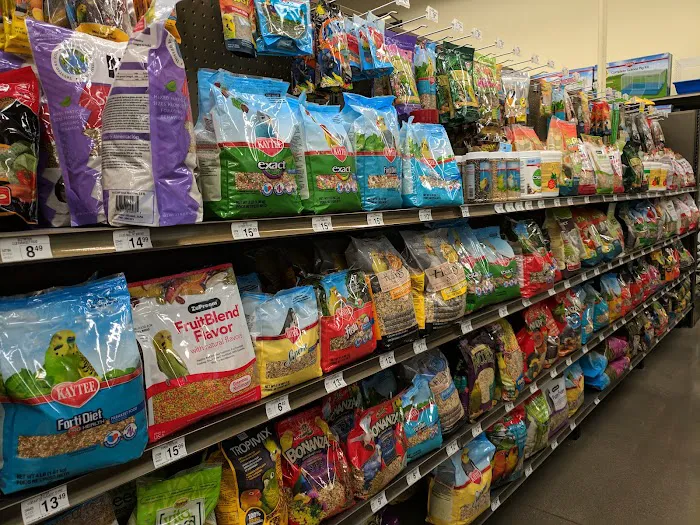 Petco Picture 9