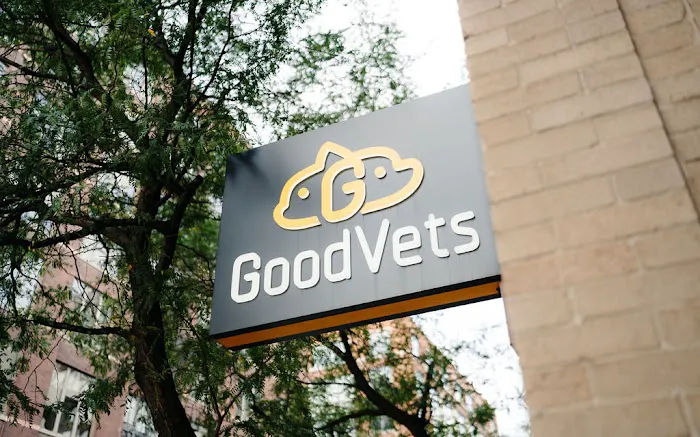 GoodVets Brooklyn Heights Picture 4