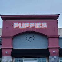 Nevada Puppy Store ico