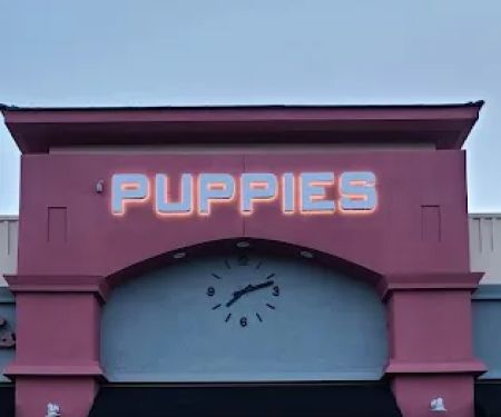 Nevada Puppy Store