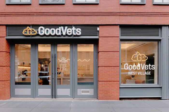 GoodVets Emergency Clinic West Village Picture 2