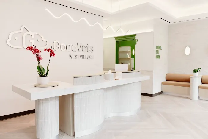 GoodVets Emergency Clinic West Village Picture 4