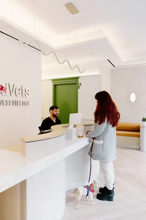 GoodVets Emergency Clinic West Village Picture 6