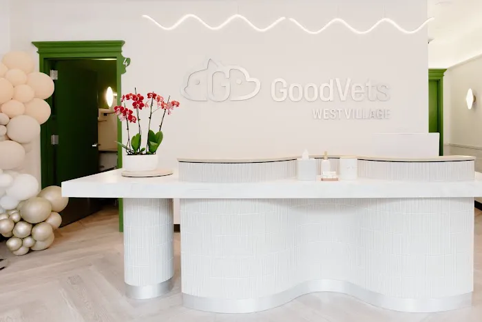 GoodVets Emergency Clinic West Village Picture 8
