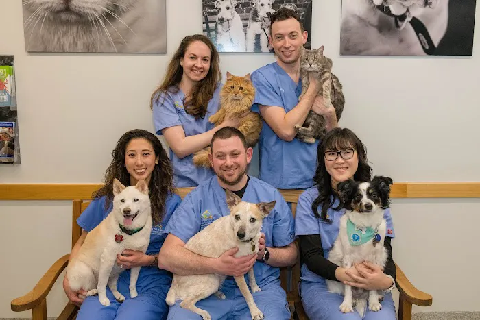 West Village Veterinary Hospital Picture 1