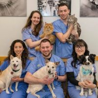 West Village Veterinary Hospital ico
