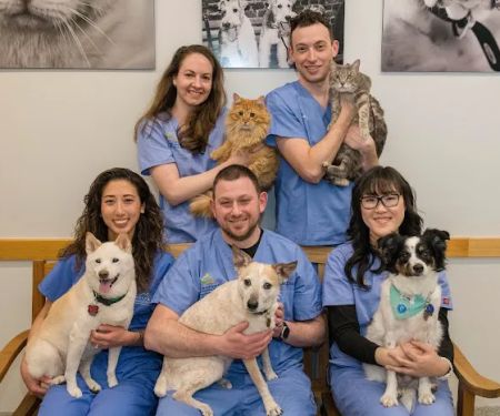 West Village Veterinary Hospital