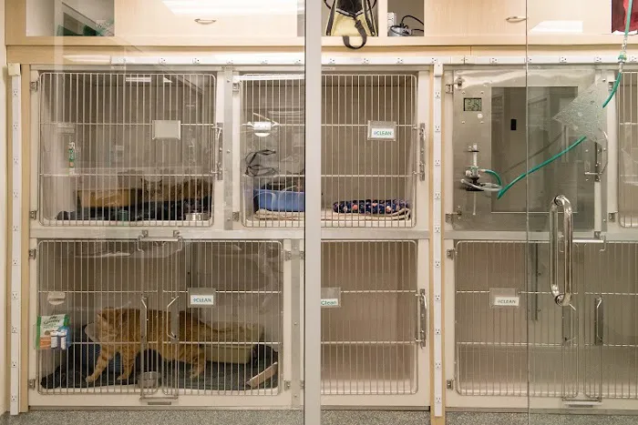 West Village Veterinary Hospital Picture 5