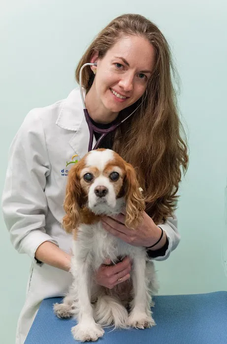 West Village Veterinary Hospital Picture 9