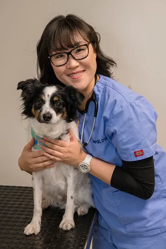 West Village Veterinary Hospital Picture 8