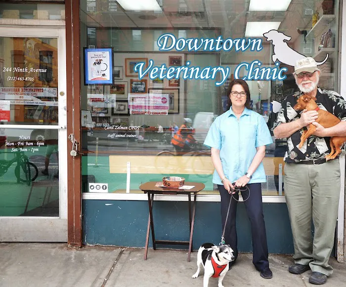 Downtown Veterinary Clinic Picture 2