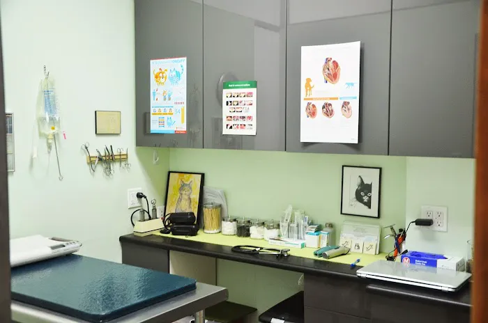 Downtown Veterinary Clinic Picture 4