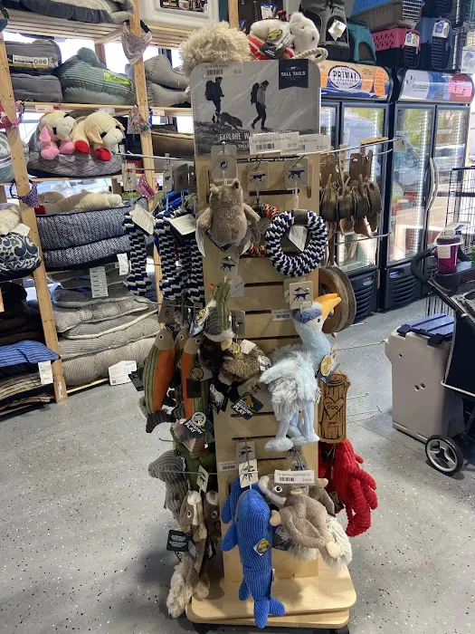 Jones Pet Outlet Picture 9