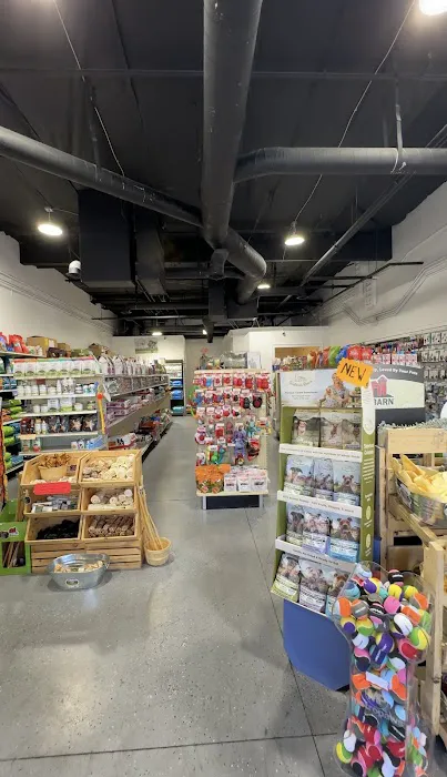 Jones Pet Outlet Picture 7