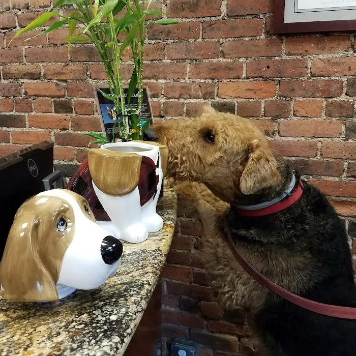 Abingdon Square Veterinary Clinic Picture 7