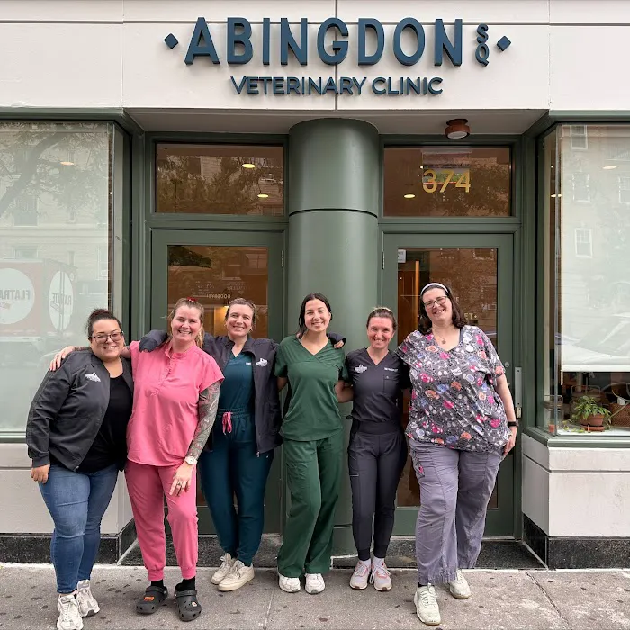 Abingdon Square Veterinary Clinic Picture 6
