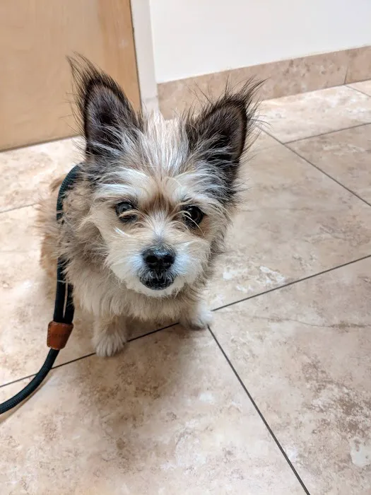 Abingdon Square Veterinary Clinic Picture 8