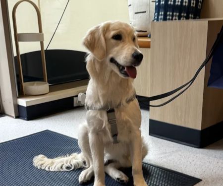Bond Vet - NoHo