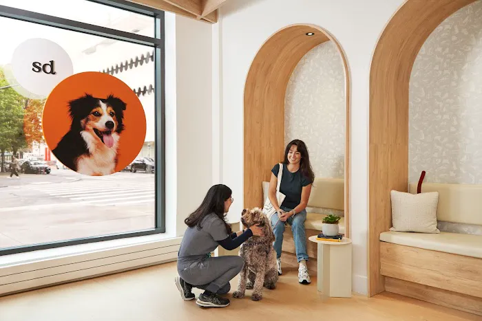 Small Door Veterinary - West Village Picture 6