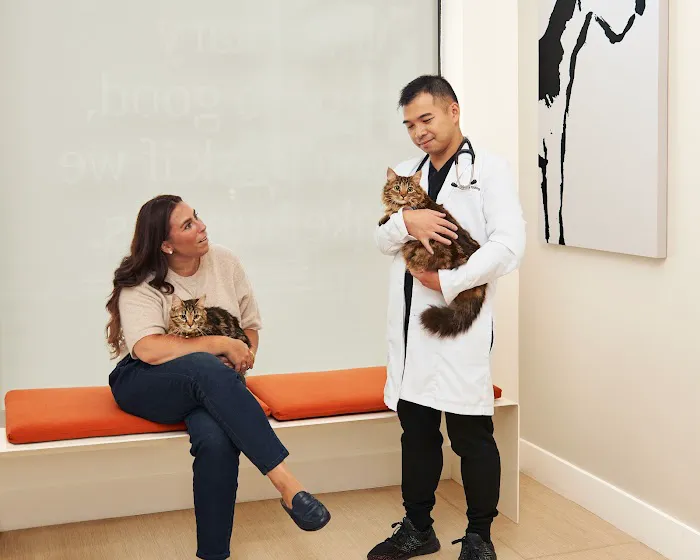 Small Door Veterinary - West Village Picture 7