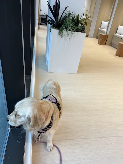 Small Door Veterinary - West Village Picture 8