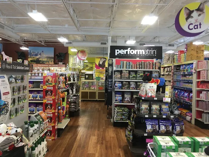 Pet Supermarket Picture 3