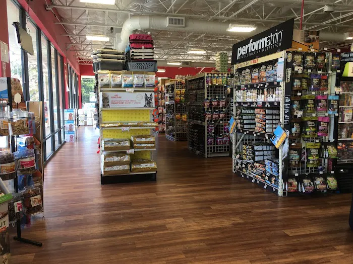 Pet Supermarket Picture 5