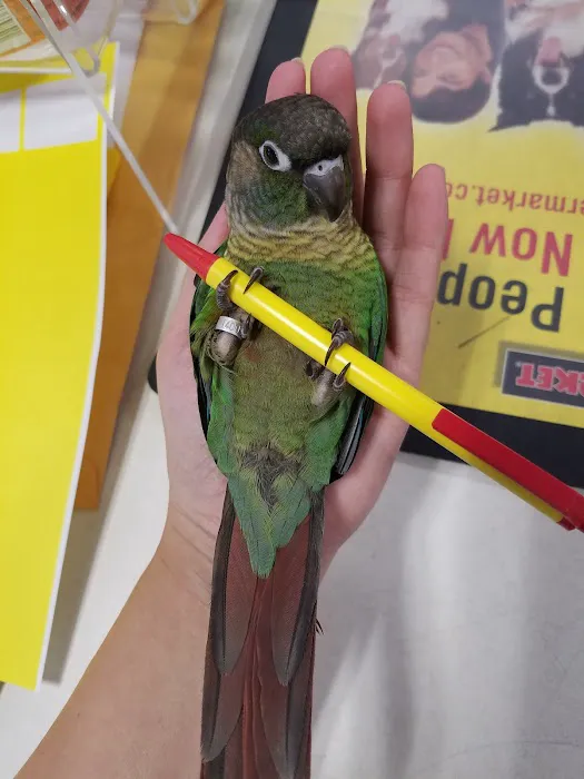 Pet Supermarket Picture 10