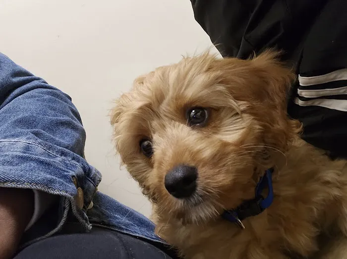 Vetco Total Care Animal Hospital Picture 5