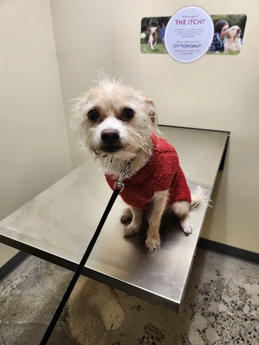 Vetco Total Care Animal Hospital Picture 7